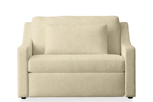 Ashby Luxury Twin Sleeper Chair